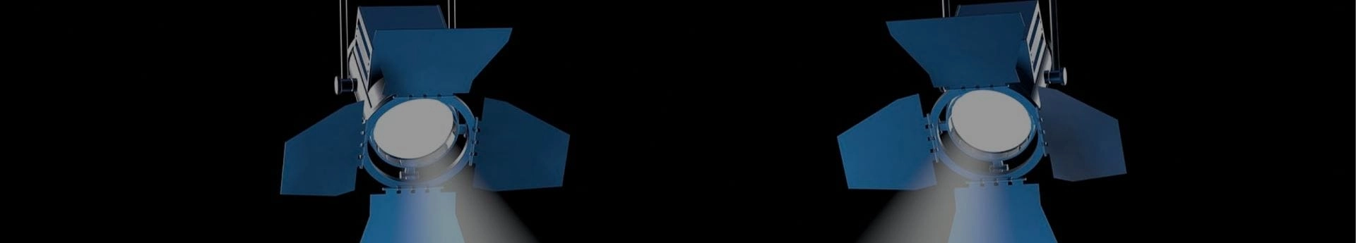 Employment Law Spotlight Header Image